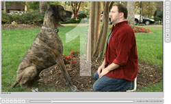 Doritos: Man's Best Friend